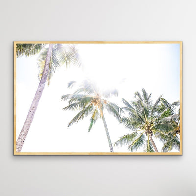 Daydream Island - Boho Palm Tropical Wall Art or Canvas Print - I Heart Wall Art