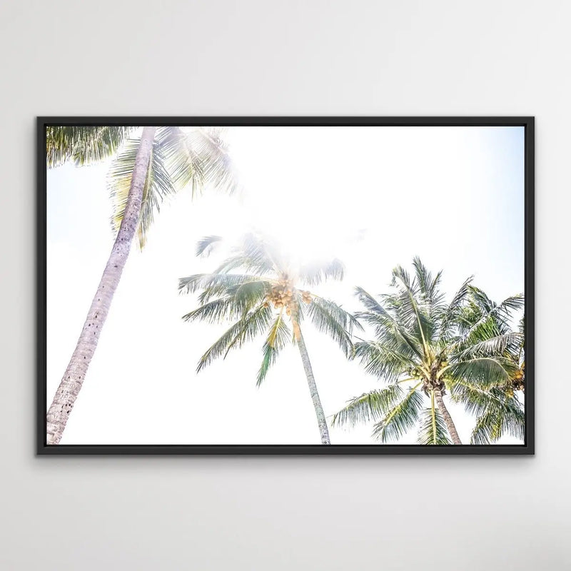 Daydream Island - Boho Palm Tropical Wall Art or Canvas Print - I Heart Wall Art
