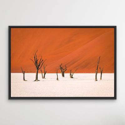 Dead Lake- Deadvlei Namibia Photographic Art Print  or Canvas Print - I Heart Wall Art