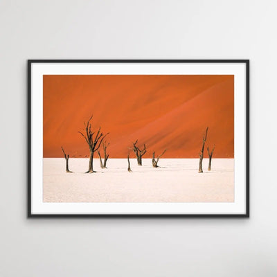 Dead Lake- Deadvlei Namibia Photographic Art Print  or Canvas Print - I Heart Wall Art