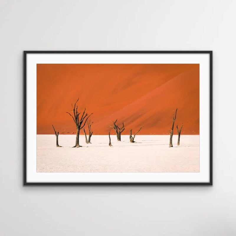 Dead Lake- Deadvlei Namibia Photographic Art Print  or Canvas Print - I Heart Wall Art