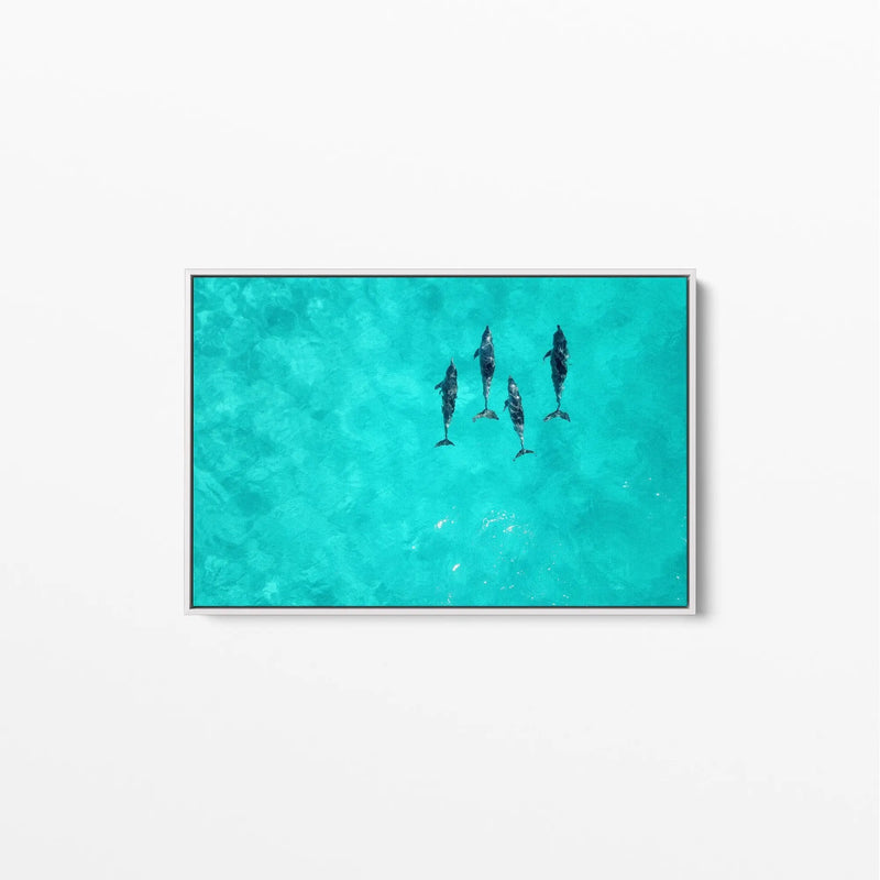 Dolphins - Beach Coastal Art Print Stretched Canvas Wall Art - I Heart Wall Art