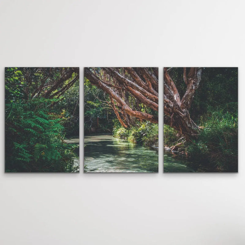 Eli Creek - Three Piece Australian Landscape (Fraser Island Queensland) Print Set Triptych - I Heart Wall Art