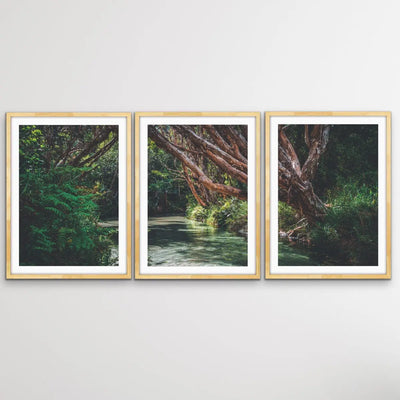 Eli Creek - Three Piece Australian Landscape (Fraser Island Queensland) Print Set Triptych - I Heart Wall Art