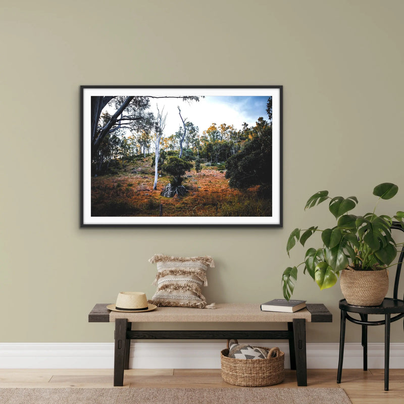 Entertwined - Australian Nature Photographic Print by Edie Fogarty - Nature Wall Art - I Heart Wall Art