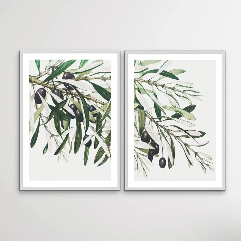 Extending An Olive Branch - Two Piece Vintage Olive Branch Print Set Diptych - I Heart Wall Art