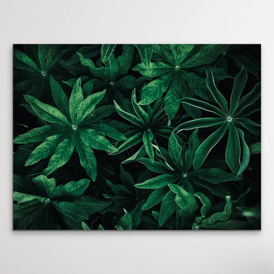 Foliage From Above - Aerial Photographic Print Of Green Plants I Heart Wall Art Australia 