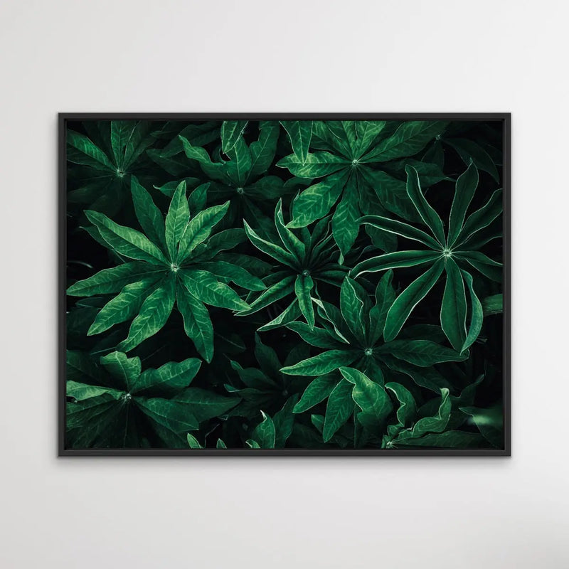Foliage From Above - Aerial Photographic Print Of Green Plants I Heart Wall Art Australia 