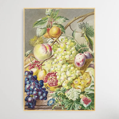Fruitstuk (1777) by Cornelis Ploos van Amstel I Heart Wall Art Australia 