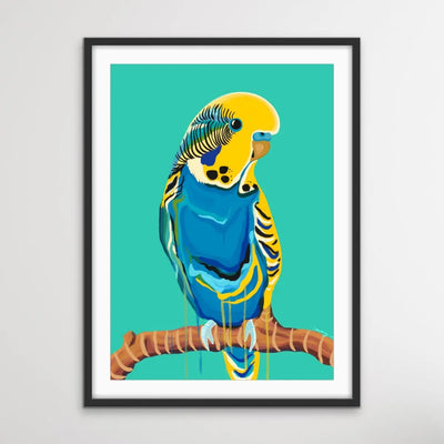 Full Budgie in Green By Emma Whitelaw - Green and Yellow Budgerigar Contemporary Artwork Canvas or Art Print I Heart Wall Art Australia 