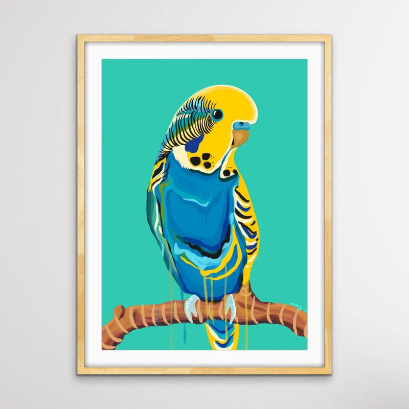 Full Budgie in Green By Emma Whitelaw - Green and Yellow Budgerigar Contemporary Artwork Canvas or Art Print I Heart Wall Art Australia 