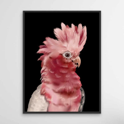Gary The Galah - Gary The Galah Wall Art Print Stretched Canvas Wall Art I Heart Wall Art Australia 