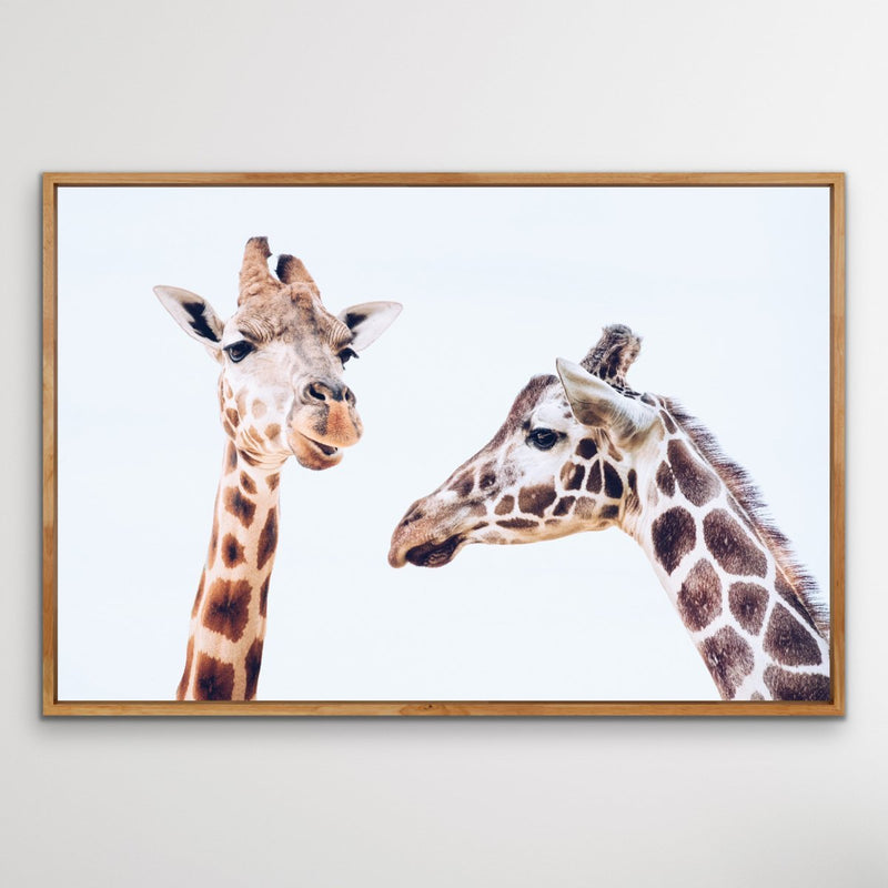 Giraffe Pair - Original Wall Art Print  on Canvas Featuring Two Giraffes - I Heart Wall Art