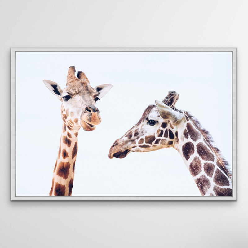 Giraffe Pair - Original Wall Art Print  on Canvas Featuring Two Giraffes - I Heart Wall Art