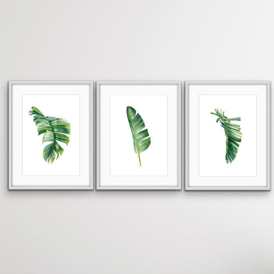 Green Banana Palm Trio - Three Piece Tropical Banana Palm Leaf Print Set Triptych - I Heart Wall Art