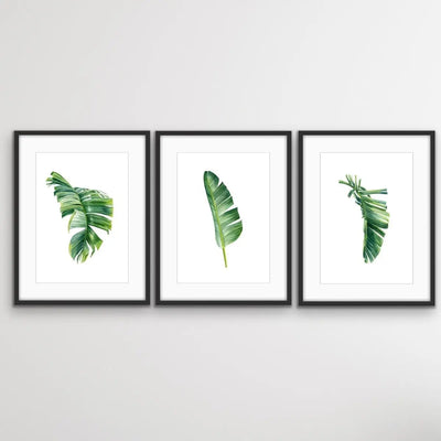 Green Banana Palm Trio - Three Piece Tropical Banana Palm Leaf Print Set Triptych - I Heart Wall Art
