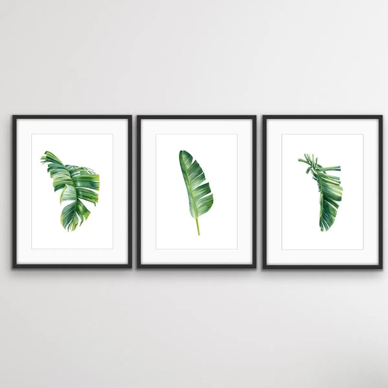 Green Banana Palm Trio - Three Piece Tropical Banana Palm Leaf Print Set Triptych - I Heart Wall Art