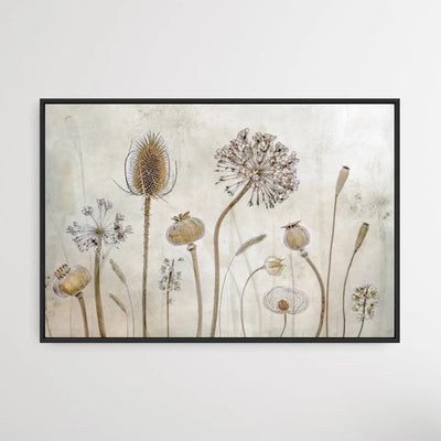 Growing old by Mandy Disher - Seedpod Neutral Photographic Print I Heart Wall Art Australia 