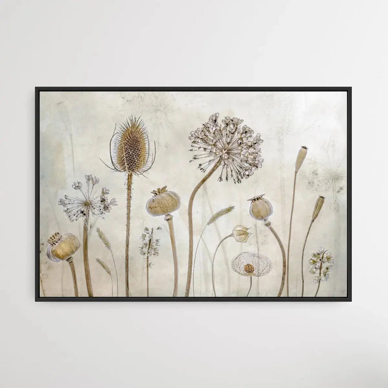 Growing old by Mandy Disher - Seedpod Neutral Photographic Print - I Heart Wall Art