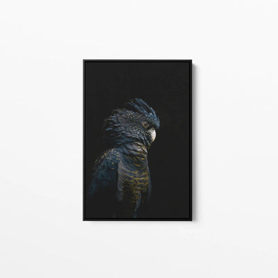 Guardian Black Cockatoo - Art Print Stretched Canvas Wall Art Cheap Wall Art Australia 