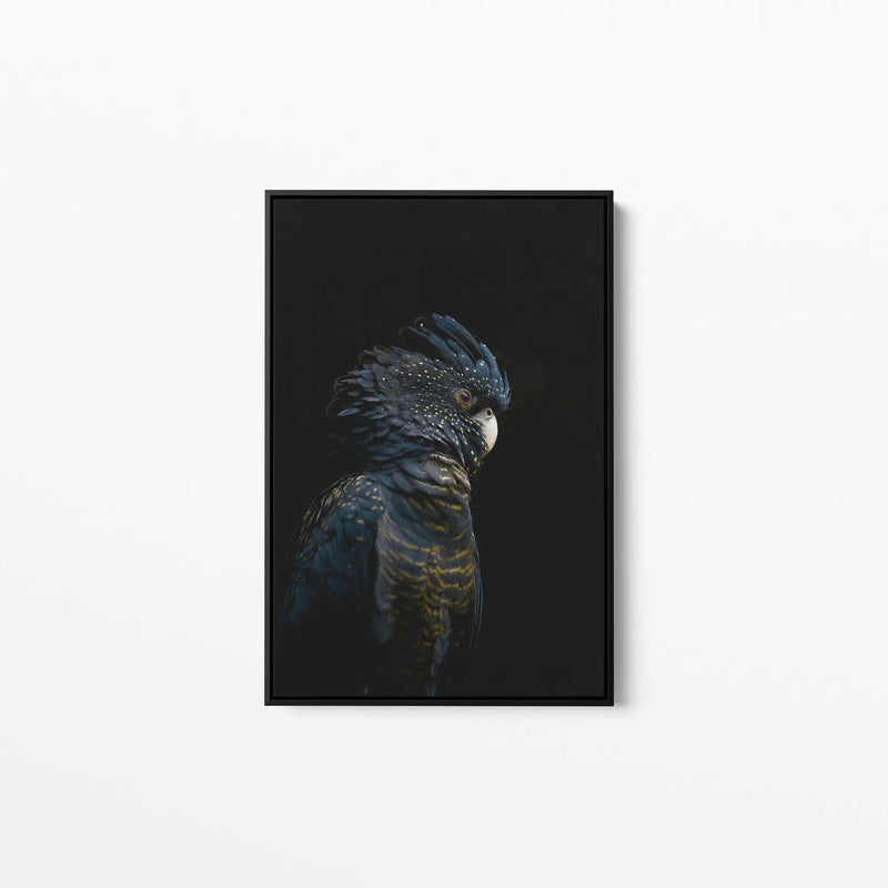 Guardian Black Cockatoo - Art Print Stretched Canvas Wall Art Cheap Wall Art Australia 
