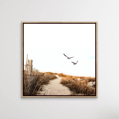 Gull Coast - Square Photographic Print With Golden Tones - I Heart Wall Art
