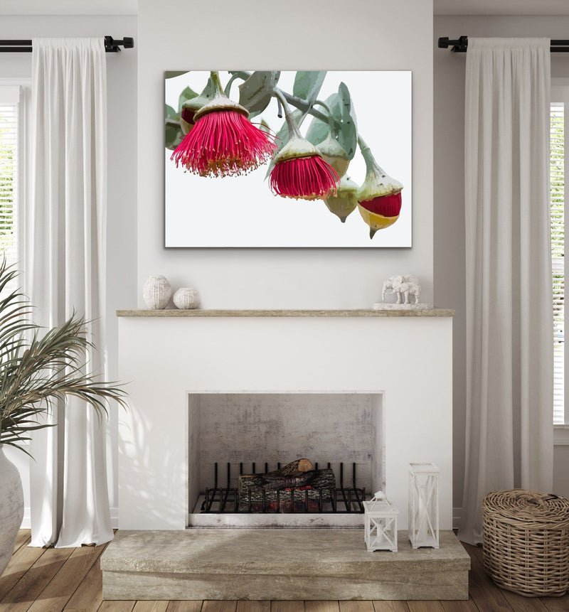 Gumnut Blossoms - Australian Native Flower Original Artwork Canvas or Art Print - I Heart Wall Art