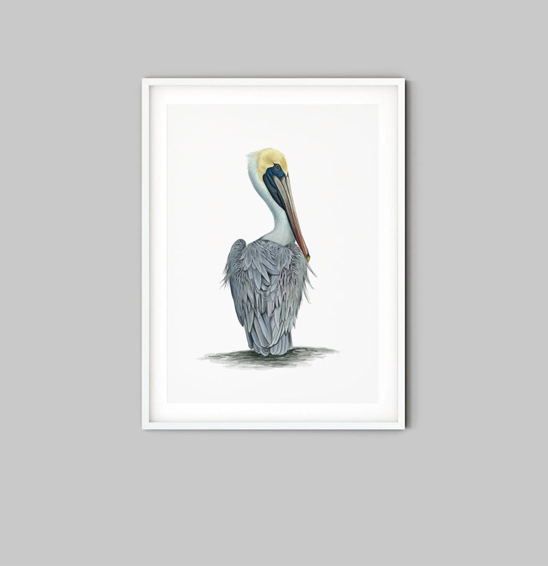 Hamptons Pelican - Watercolour Pelican On A White Backdrop - I Heart Wall Art
