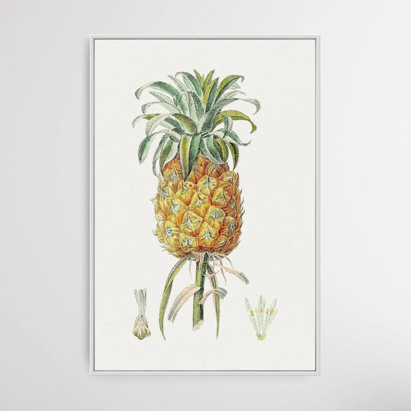 Hand Drawn Pineapple - Vintage Pineapple Print - I Heart Wall Art