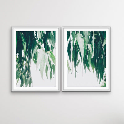 Hanging Branches - Two Piece Eucalyptus Photographic Gum Tree Australian Nature Print Set Diptych - I Heart Wall Art