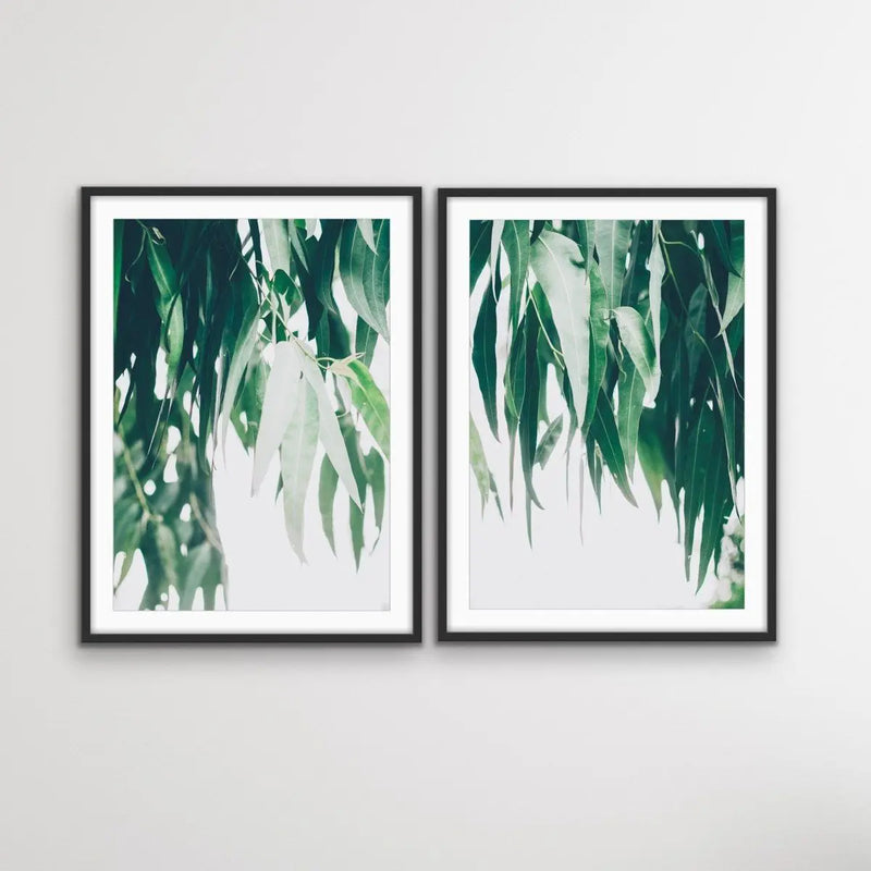 Hanging Branches - Two Piece Eucalyptus Photographic Gum Tree Australian Nature Print Set Diptych - I Heart Wall Art