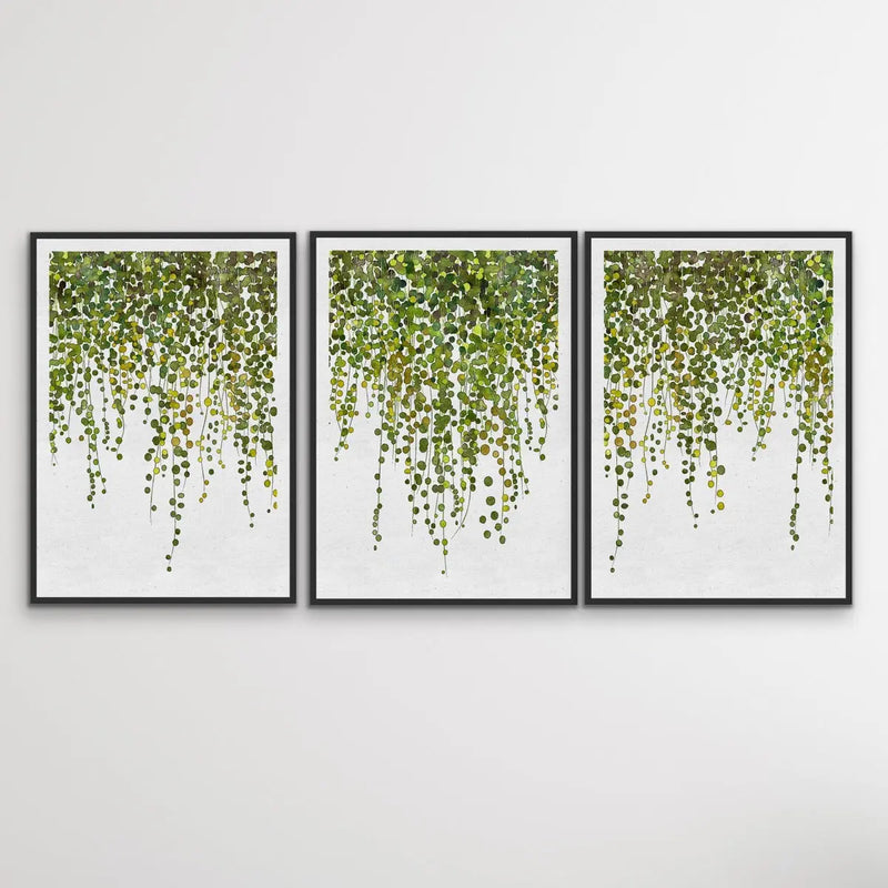 Hanging Ivy - Three Piece Art Print  of Hanging Ivy Wall Art Triptych - I Heart Wall Art
