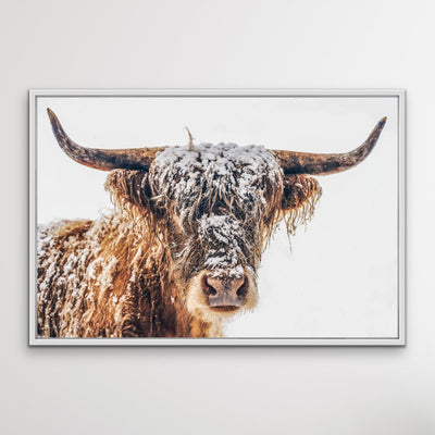 Highland Cow In The Snow - Canvas and Paper Photographic Wall Art Print - I Heart Wall Art