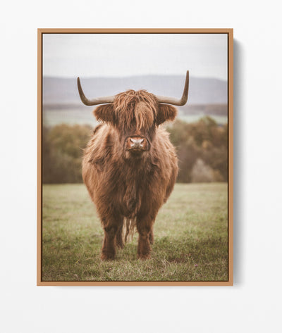 Highlander The Second - Highland Cow Stretched Canvas Wall Art Print - I Heart Wall Art