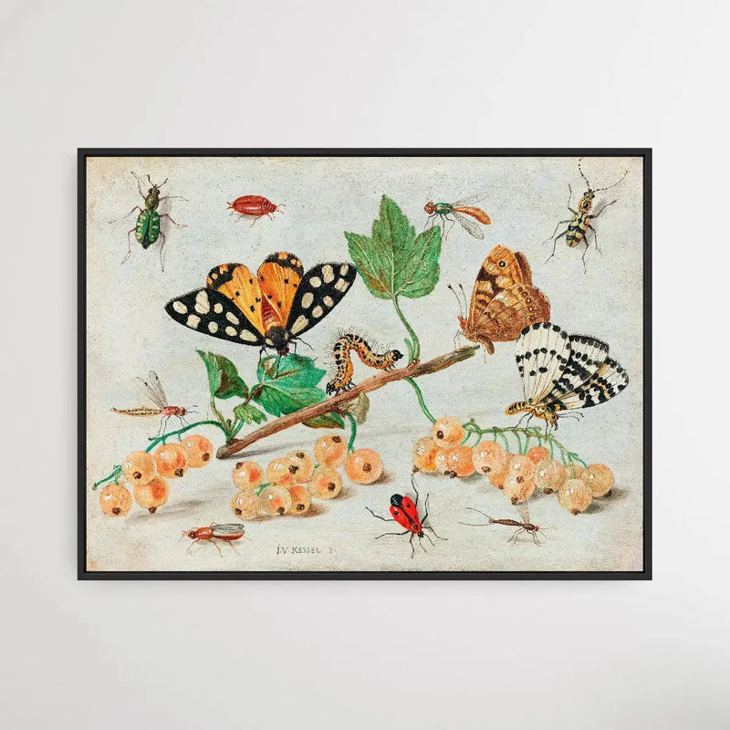 Insects and Fruits (1660–1665) by Jan van Kessel I Heart Wall Art Australia 