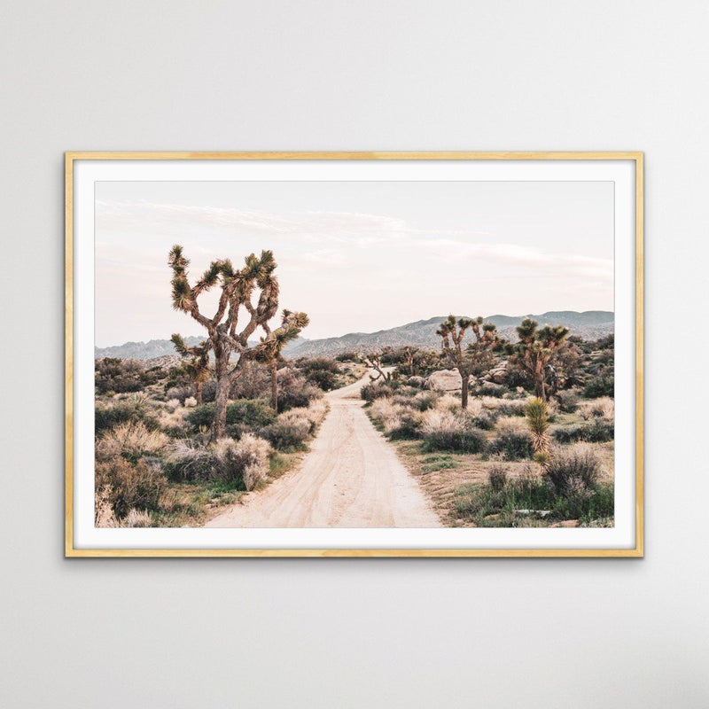 Joshua Tree - Desert Photographic Print With Cactus - I Heart Wall Art