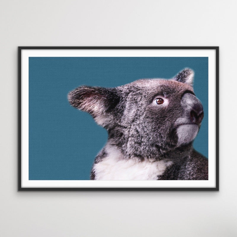 Koala Blue - Koala On Blue Linen Background Stretched Canvas or Art Print - I Heart Wall Art