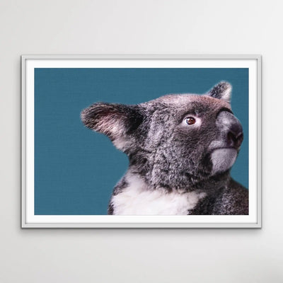 Koala Blue - Koala On Blue Linen Background Stretched Canvas or Art Print - I Heart Wall Art