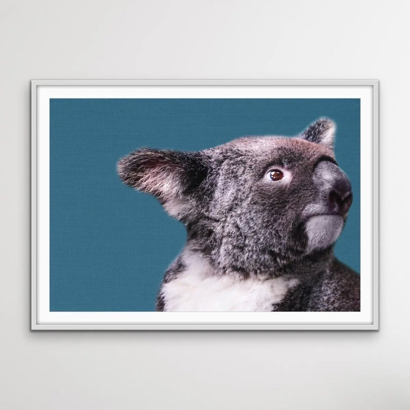 Koala Blue - Koala On Blue Linen Background Stretched Canvas or Art Print - I Heart Wall Art