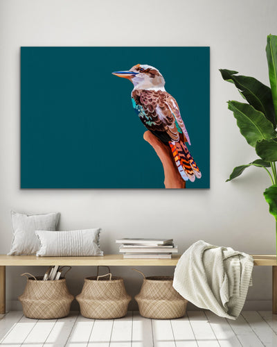 Kookaburra On Teal - Framed Canvas Print Wall Art Print - I Heart Wall Art