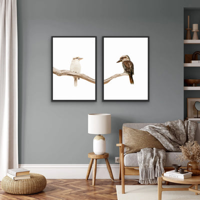 Kookaburra Pair - Two Piece Kookaburra Photographic Print Set on White Diptych - I Heart Wall Art