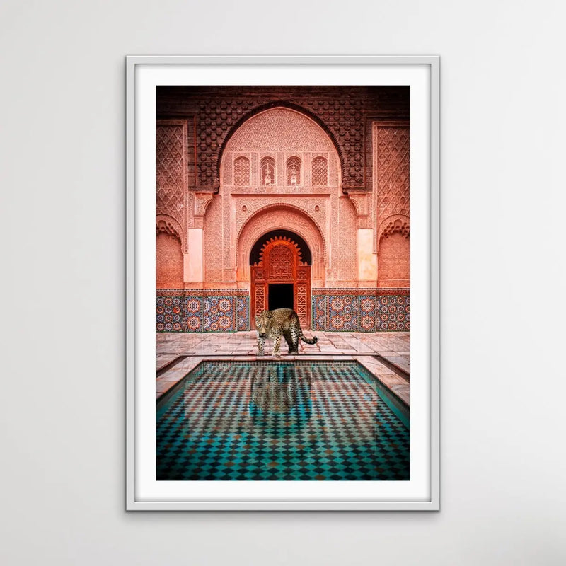 Leopard Loose In Marrakesh - Print of Leopard Next To Moroccan Style Pool - I Heart Wall Art