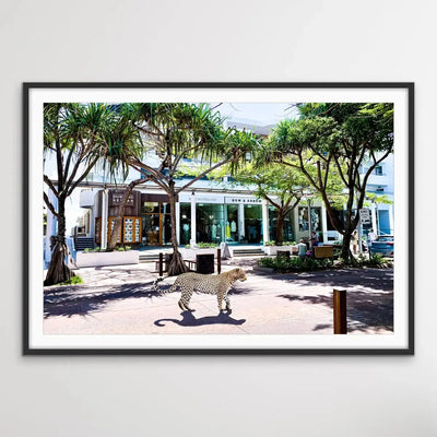 Leopard On Hastings Street - Noosa Streetscape Print - I Heart Wall Art