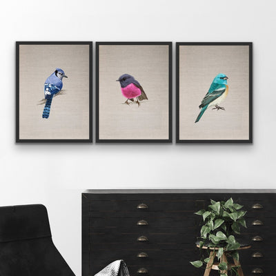 Little Gem Birds - Three Piece Watercolour Bird Wall Art On Canvas Triptych - I Heart Wall Art
