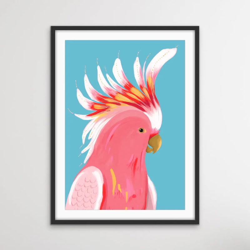 Major MItchells Cockatoo By Emma Whitelaw - Pink Cockatoo Contemporary Artwork Canvas or Art Print I Heart Wall Art Australia 