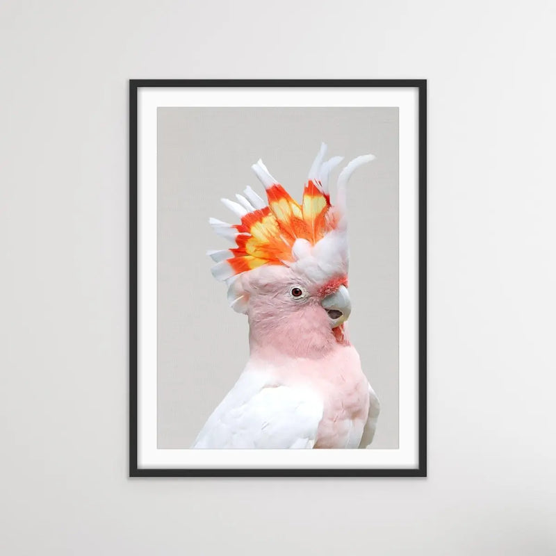 Major Mitchells Cockatoo (Leadbeater) Pink Cockatoo Canvas Wall Art Prints - I Heart Wall Art