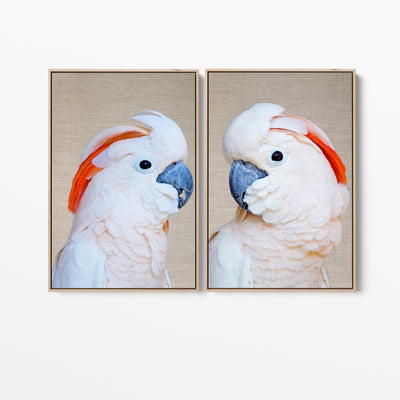 Moluccan Pink Cockatoo Pair - Two Piece Pink Moluccan Cockatoo Stretched Canvas Framed Wall Art Diptych - I Heart Wall Art