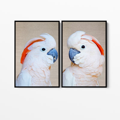 Moluccan Pink Cockatoo Pair - Two Piece Pink Moluccan Cockatoo Stretched Canvas Framed Wall Art Diptych - I Heart Wall Art