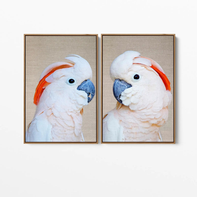 Moluccan Pink Cockatoo Pair - Two Piece Pink Moluccan Cockatoo Stretched Canvas Framed Wall Art Diptych - I Heart Wall Art