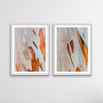 Ochre Bark - Two Piece Eucalyptus Bark Ochre Orange Red Print Set Diptych - I Heart Wall Art